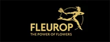 Fleurop Black Friday Schweiz